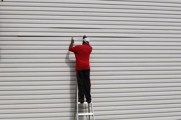 Best Siding Removal and Disposal  in Lake Ozark, MO